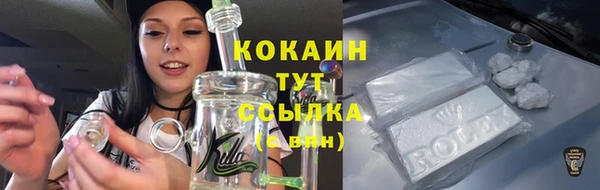 метадон Галич