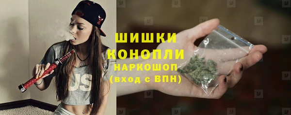 метадон Галич