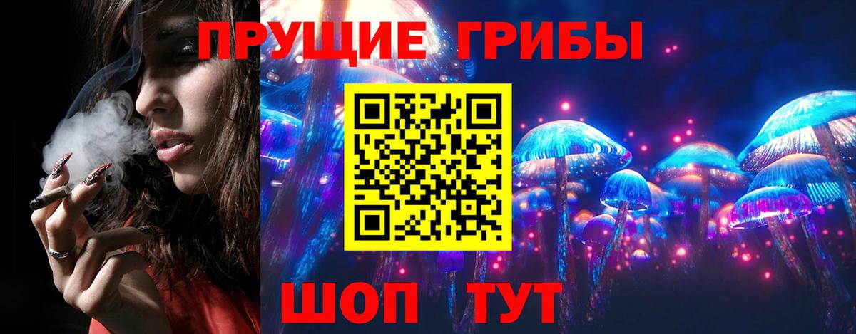 Псилоцибиновые грибы Psilocybine cubensis Дагестанские Огни