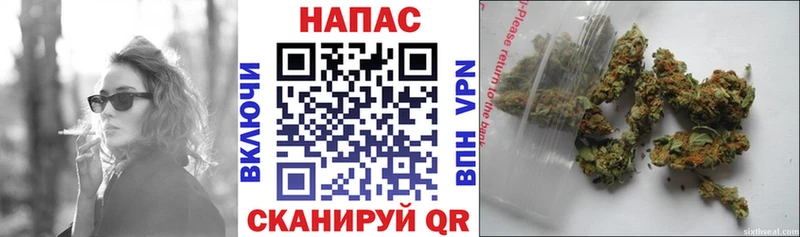 Бошки Шишки MAZAR  площадка состав  Дагестанские Огни 